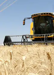 Türkiye’den Dev Gıda Seferberliği: 212 Ülkeye 5.8 Milyar Dolarlık İhracat