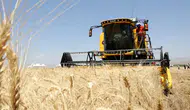 Türkiye’den Dev Gıda Seferberliği: 212 Ülkeye 5.8 Milyar Dolarlık İhracat