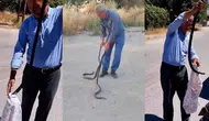Çıplak Elle Dev Yılanları Yakaladı: Mahallenin "Yılan Avcısı" Yine İşbaşında!