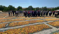 Malatya’da Altın Sarı Mirasın Hasat Coşkusu: Karamsar Tablo Yerini Rekor Bereketine Bıraktı!
