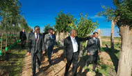 Malatya’da Dikkat Çeken Üretim: Her Yıl 20 Bin Fidan ve 50 Bin Metrekare Çim Yetiştiriliyor