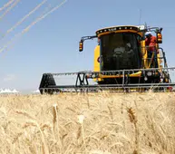 Türkiye’den Dev Gıda Seferberliği: 212 Ülkeye 5.8 Milyar Dolarlık İhracat