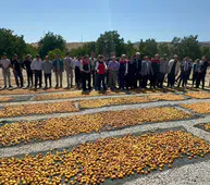 Malatya’da Altın Sarı Mirasın Hasat Coşkusu: Karamsar Tablo Yerini Rekor Bereketine Bıraktı!