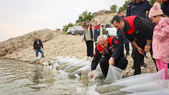 Malatya’da Balıklandırma Seferberliği: 6 İlçeye 1,3 Milyon Sazan Yavrusu Bırakıldı