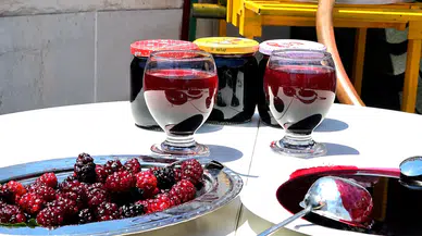 Horum Dutu Pekmezinin Faydaları: Ne İşe Yarar, Neye İyi Gelir?