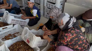 Malatya'da Kayısı Fiyatı Tartışması Büyüyor! Üreticiden Dikkat Çeken Çağrı