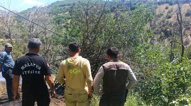 Malatya Alevlere Teslim Oldu: İtfaiye Ekipleri Beş İlçede Birden Zamanla Yarışıyor!