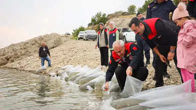 Malatya’da Balıklandırma Seferberliği: 6 İlçeye 1,3 Milyon Sazan Yavrusu Bırakıldı