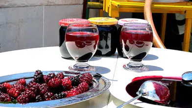 Horum Dutu Pekmezinin Faydaları: Ne İşe Yarar, Neye İyi Gelir?