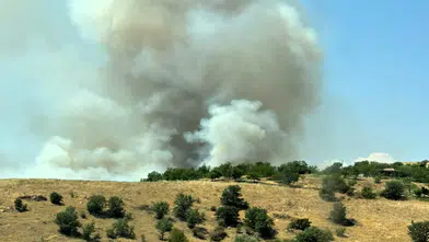 Malatya’da Orman Yangını Alarmı! Pütürge’de Alevlere Havadan ve Karadan Müdahale