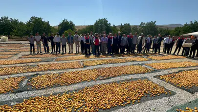 Malatya’da Altın Sarı Mirasın Hasat Coşkusu: Karamsar Tablo Yerini Rekor Bereketine Bıraktı!