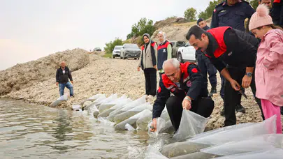 Malatya’da Balıklandırma Seferberliği: 6 İlçeye 1,3 Milyon Sazan Yavrusu Bırakıldı