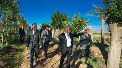 Malatya’da Dikkat Çeken Üretim: Her Yıl 20 Bin Fidan ve 50 Bin Metrekare Çim Yetiştiriliyor