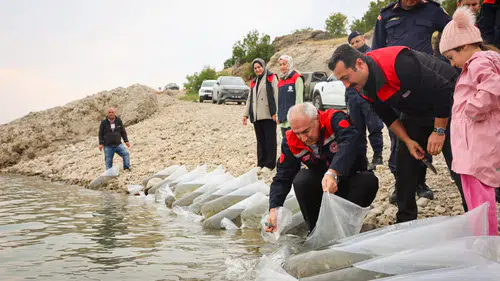 Malatya’da Balıklandırma Seferberliği: 6 İlçeye 1,3 Milyon Sazan Yavrusu Bırakıldı