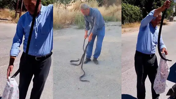 Çıplak Elle Dev Yılanları Yakaladı: Mahallenin "Yılan Avcısı" Yine İşbaşında!