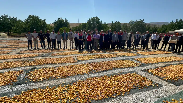Malatya’da Altın Sarı Mirasın Hasat Coşkusu: Karamsar Tablo Yerini Rekor Bereketine Bıraktı!