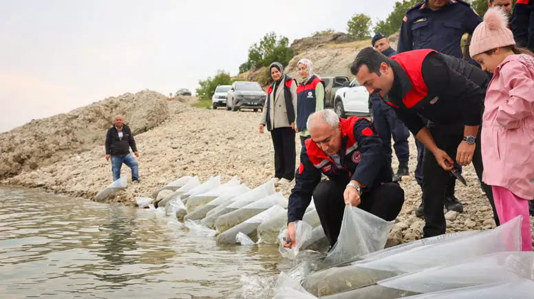 Malatya’da Balıklandırma Seferberliği: 6 İlçeye 1,3 Milyon Sazan Yavrusu Bırakıldı